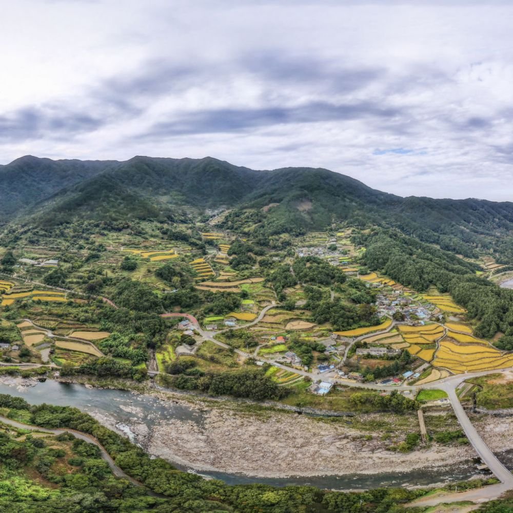 주간전경