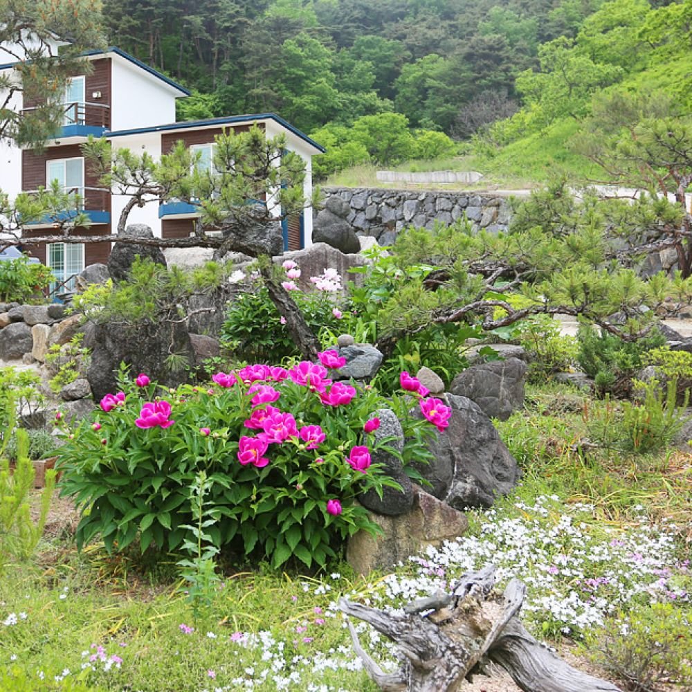주변보기
