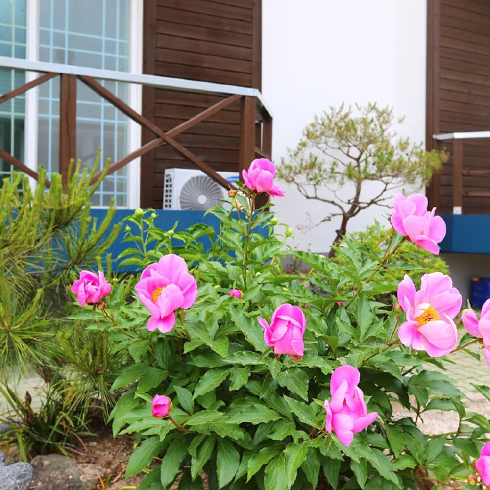 주변보기